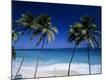 Premium Photographic Print