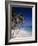 Bottom Bay, Barbados-null-Framed Photographic Print