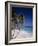 Bottom Bay, Barbados-null-Framed Photographic Print