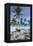 Bottom Bay, St. Philip, Barbados, West Indies, Caribbean, Central America-Frank Fell-Framed Premier Image Canvas