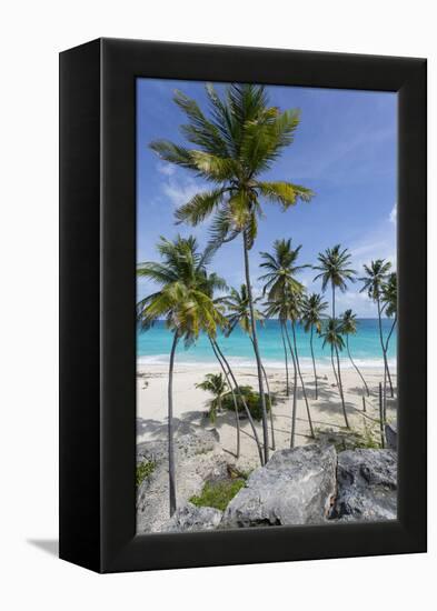 Bottom Bay, St. Philip, Barbados, West Indies, Caribbean, Central America-Frank Fell-Framed Premier Image Canvas