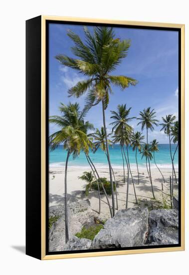 Bottom Bay, St. Philip, Barbados, West Indies, Caribbean, Central America-Frank Fell-Framed Premier Image Canvas