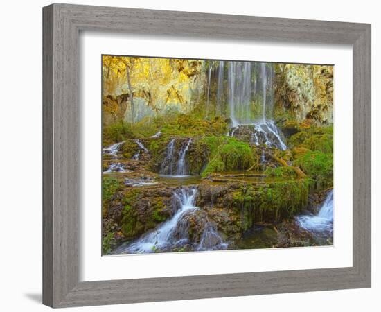 Bottom of the Falling Spring Falls, Outside of Covington, Virginia, Usa-Maresa Pryor-Framed Photographic Print