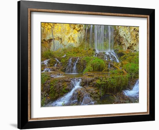 Bottom of the Falling Spring Falls, Outside of Covington, Virginia, Usa-Maresa Pryor-Framed Photographic Print