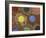 Bottoms of Colored Pencils-null-Framed Photographic Print