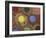 Bottoms of Colored Pencils-null-Framed Photographic Print