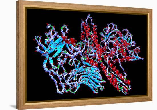 Botulinum Toxin-PASIEKA-Framed Premier Image Canvas