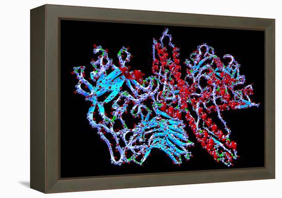 Botulinum Toxin-PASIEKA-Framed Premier Image Canvas