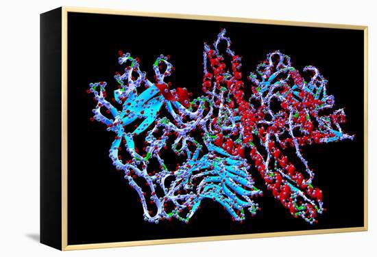 Botulinum Toxin-PASIEKA-Framed Premier Image Canvas