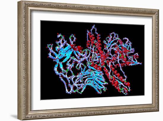 Botulinum Toxin-PASIEKA-Framed Photographic Print