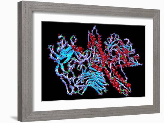 Botulinum Toxin-PASIEKA-Framed Photographic Print