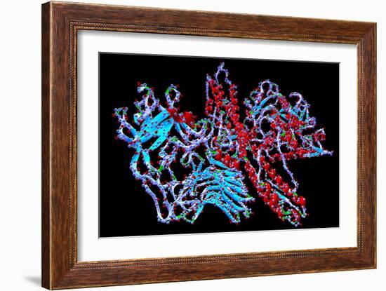 Botulinum Toxin-PASIEKA-Framed Photographic Print