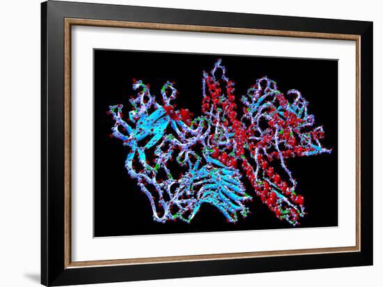 Botulinum Toxin-PASIEKA-Framed Photographic Print