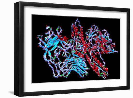 Botulinum Toxin-PASIEKA-Framed Photographic Print