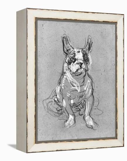 Bouboule', the Bulldog of Madame Palmyre at La Souris, 1897-Henri de Toulouse-Lautrec-Framed Premier Image Canvas