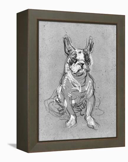 Bouboule', the Bulldog of Madame Palmyre at La Souris, 1897-Henri de Toulouse-Lautrec-Framed Premier Image Canvas