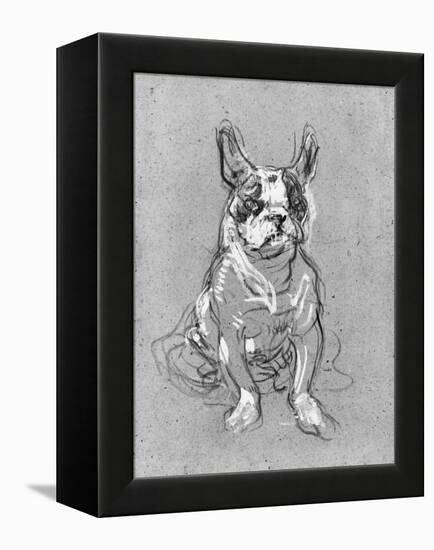 Bouboule', the Bulldog of Madame Palmyre at La Souris, 1897-Henri de Toulouse-Lautrec-Framed Premier Image Canvas
