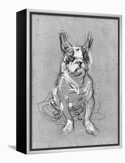 Bouboule', the Bulldog of Madame Palmyre at La Souris, 1897-Henri de Toulouse-Lautrec-Framed Premier Image Canvas