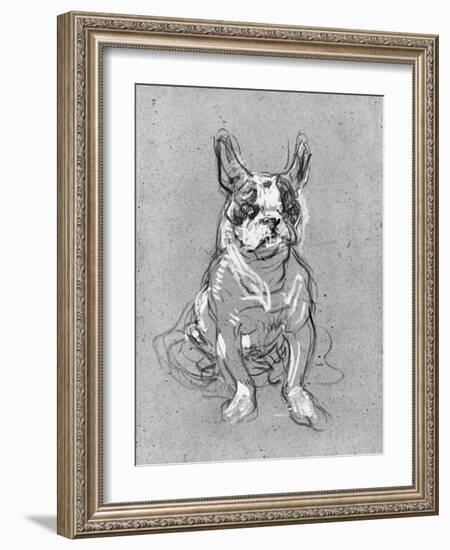 Bouboule', the Bulldog of Madame Palmyre at La Souris, 1897-Henri de Toulouse-Lautrec-Framed Photographic Print