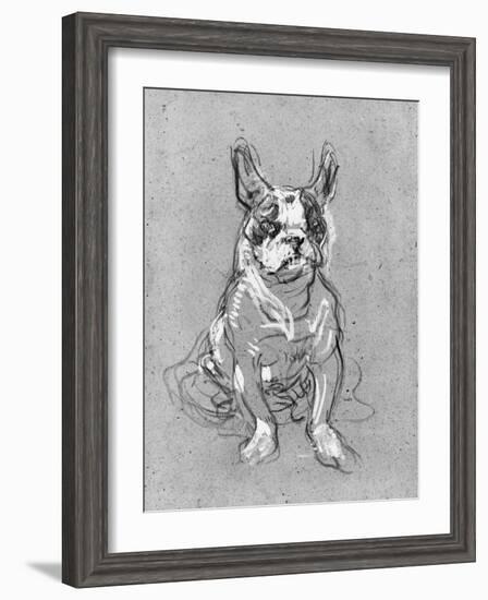 Bouboule', the Bulldog of Madame Palmyre at La Souris, 1897-Henri de Toulouse-Lautrec-Framed Photographic Print