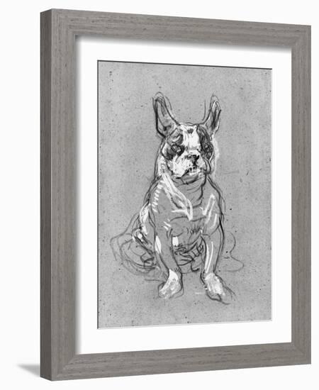 Bouboule', the Bulldog of Madame Palmyre at La Souris, 1897-Henri de Toulouse-Lautrec-Framed Photographic Print