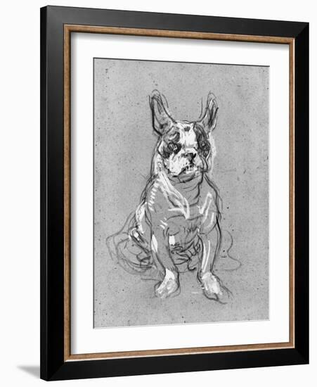 Bouboule', the Bulldog of Madame Palmyre at La Souris, 1897-Henri de Toulouse-Lautrec-Framed Photographic Print