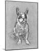 Bouboule', the Bulldog of Madame Palmyre at La Souris, 1897-Henri de Toulouse-Lautrec-Mounted Photographic Print
