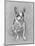 Bouboule', the Bulldog of Madame Palmyre at La Souris, 1897-Henri de Toulouse-Lautrec-Mounted Photographic Print