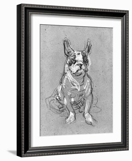 Bouboule', the Bulldog of Madame Palmyre at La Souris, 1897-Henri de Toulouse-Lautrec-Framed Photographic Print