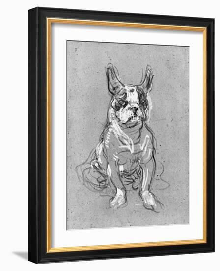 Bouboule', the Bulldog of Madame Palmyre at La Souris, 1897-Henri de Toulouse-Lautrec-Framed Photographic Print