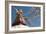 Bouddha (Boudhanath) (Bodnath) in Kathmandu is covered in colourful prayer flags, Kathmandu, Nepal-Alex Treadway-Framed Photographic Print