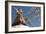 Bouddha (Boudhanath) (Bodnath) in Kathmandu is covered in colourful prayer flags, Kathmandu, Nepal-Alex Treadway-Framed Photographic Print