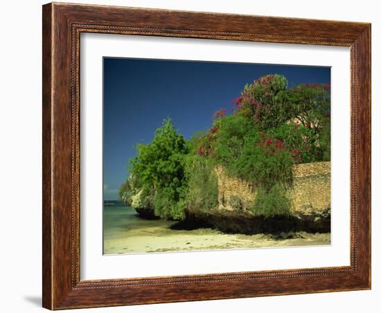 Bougainvillea Along Wall Next to Sea, Malindi, Kenya, East Africa, Africa-Strachan James-Framed Photographic Print
