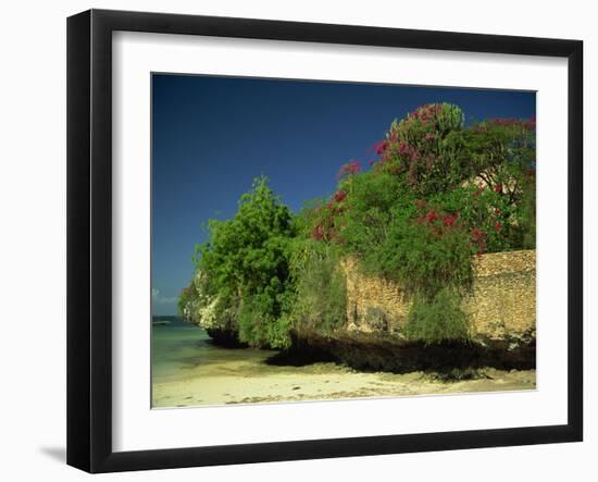 Bougainvillea Along Wall Next to Sea, Malindi, Kenya, East Africa, Africa-Strachan James-Framed Photographic Print