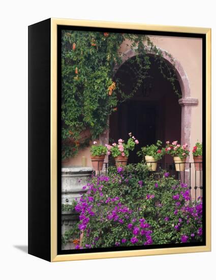 Bougainvillea and Geranium Pots on Wall in Courtyard, San Miguel De Allende, Mexico-Nancy Rotenberg-Framed Premier Image Canvas