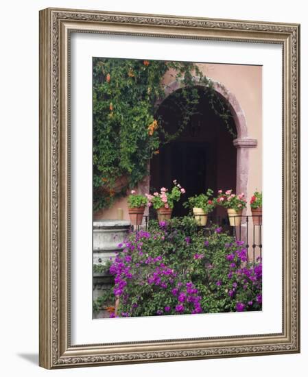 Bougainvillea and Geranium Pots on Wall in Courtyard, San Miguel De Allende, Mexico-Nancy Rotenberg-Framed Photographic Print