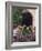 Bougainvillea and Geranium Pots on Wall in Courtyard, San Miguel De Allende, Mexico-Nancy Rotenberg-Framed Photographic Print