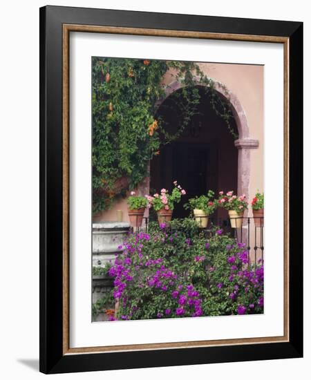 Bougainvillea and Geranium Pots on Wall in Courtyard, San Miguel De Allende, Mexico-Nancy Rotenberg-Framed Photographic Print