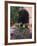 Bougainvillea and Geranium Pots on Wall in Courtyard, San Miguel De Allende, Mexico-Nancy Rotenberg-Framed Photographic Print