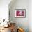 Bougainvillea, Cayman Brac, Cayman Islands, Caribbean-Greg Johnston-Framed Photographic Print displayed on a wall