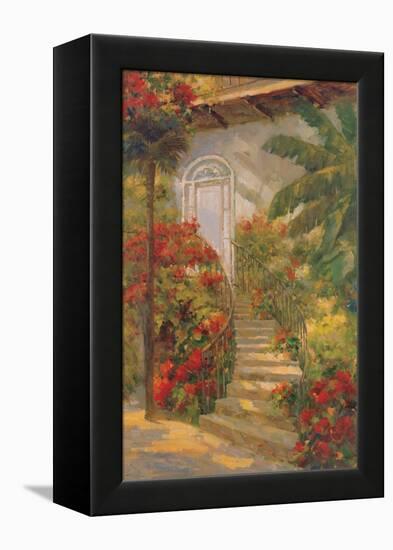 Bougainvillea Entry-Enrique Bolo-Framed Stretched Canvas