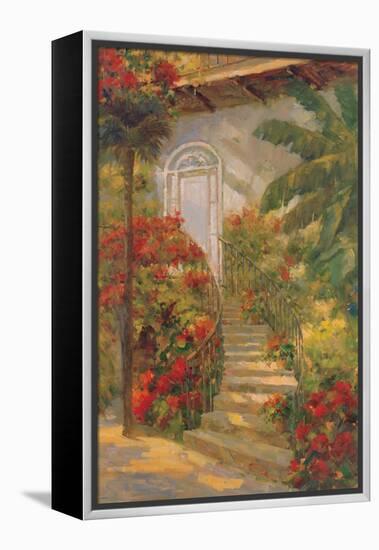 Bougainvillea Entry-Enrique Bolo-Framed Stretched Canvas