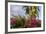 Bougainvillea Flora, Bavaro, Higuey, Punta Cana, Dominican Republic-Lisa S. Engelbrecht-Framed Photographic Print