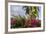 Bougainvillea Flora, Bavaro, Higuey, Punta Cana, Dominican Republic-Lisa S. Engelbrecht-Framed Photographic Print