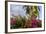 Bougainvillea Flora, Bavaro, Higuey, Punta Cana, Dominican Republic-Lisa S. Engelbrecht-Framed Photographic Print