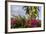 Bougainvillea Flora, Bavaro, Higuey, Punta Cana, Dominican Republic-Lisa S. Engelbrecht-Framed Photographic Print