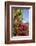 Bougainvillea Flora, Bavaro, Higuey, Punta Cana, Dominican Republic-Lisa S. Engelbrecht-Framed Photographic Print