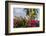 Bougainvillea Flora, Bavaro, Higuey, Punta Cana, Dominican Republic-Lisa S. Engelbrecht-Framed Photographic Print