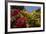 Bougainvillea Flowers, Bavaro, Higuey, Punta Cana, Dominican Republic-Lisa S. Engelbrecht-Framed Photographic Print