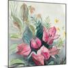 Bougainvillea Garden I-Jacob Q-Mounted Art Print